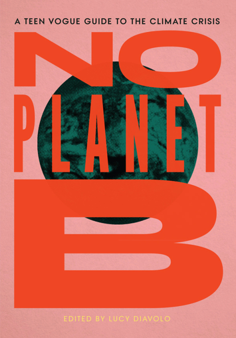 Cover image for book No Planet B