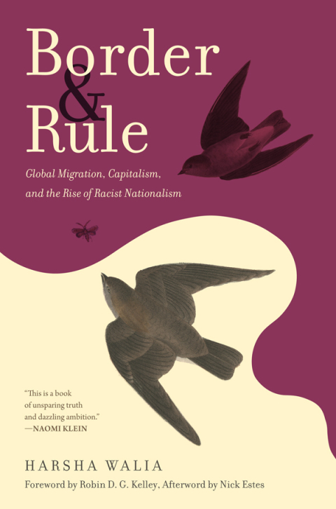 Reflowable Border and Rule; $19.95