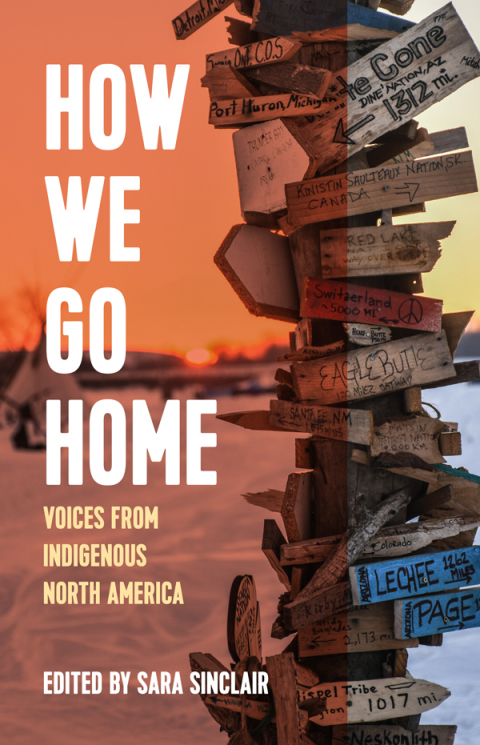 Cover image for book How We Go Home