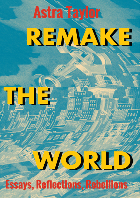 Cover image for book Remake the World