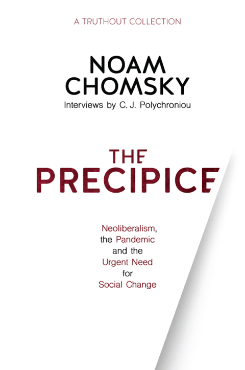 Cover image for book The Precipice
