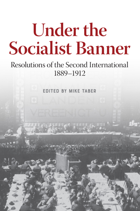 Cover image for book Under the Socialist Banner