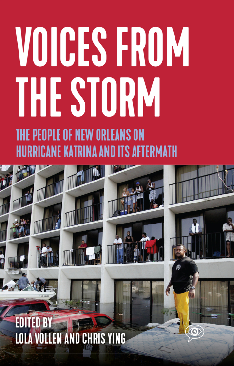 Cover image for book Voices from the Storm