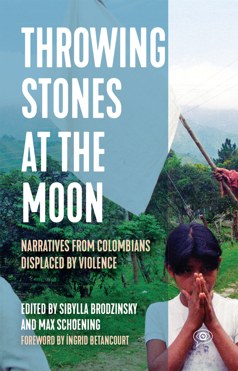 Cover image for book Throwing Stones at the Moon