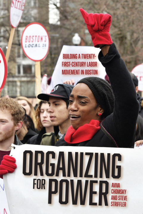 Cover image for book Organizing for Power