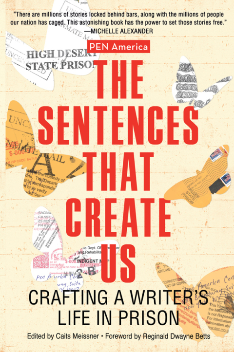 Cover image for book The Sentences That Create Us