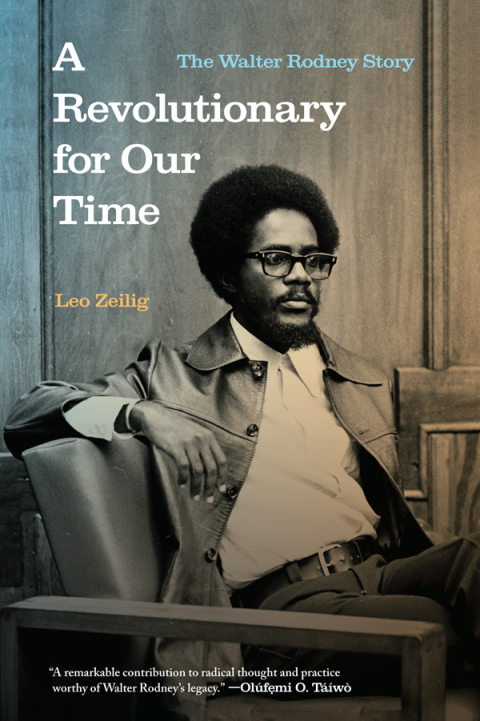 Cover image for book A Revolutionary for Our Time