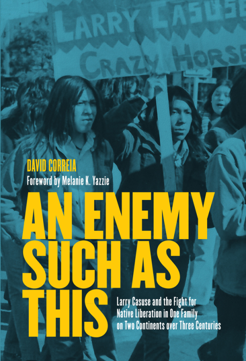 Cover image for book An Enemy Such as This