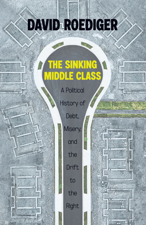 Cover image for book The Sinking Middle Class