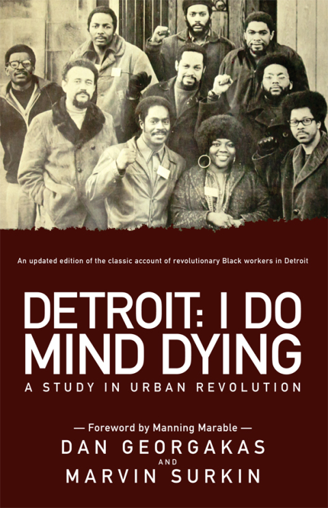 Cover image for book Detroit: I Do Mind Dying