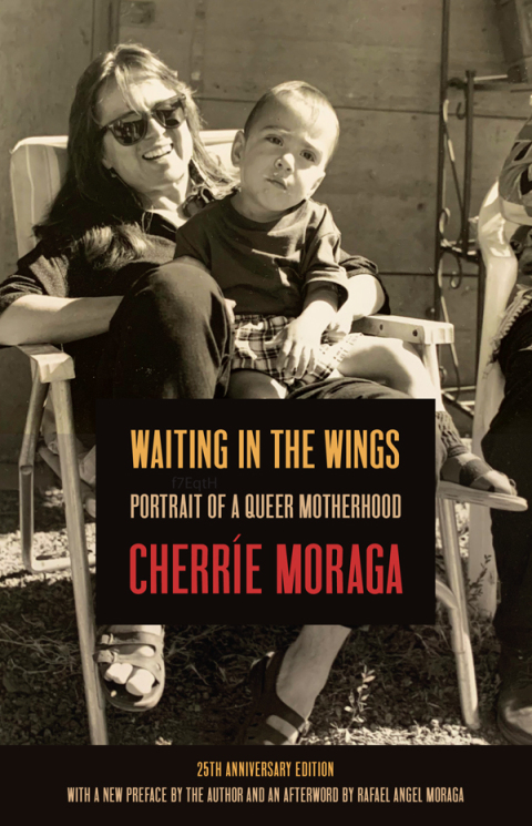 Cover image for book Waiting in the Wings