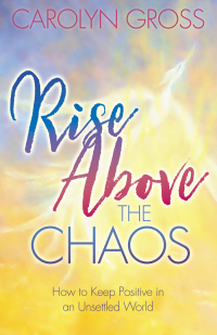 Cover image: Rise Above the Chaos 9781642793864