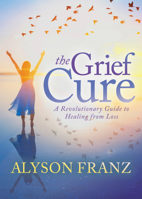 Cover image for book The Grief Cure