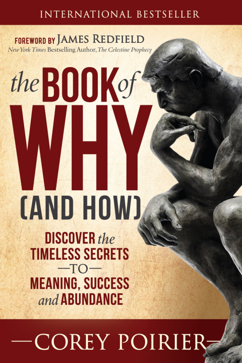 Cover image for book The Book of Why (and How)