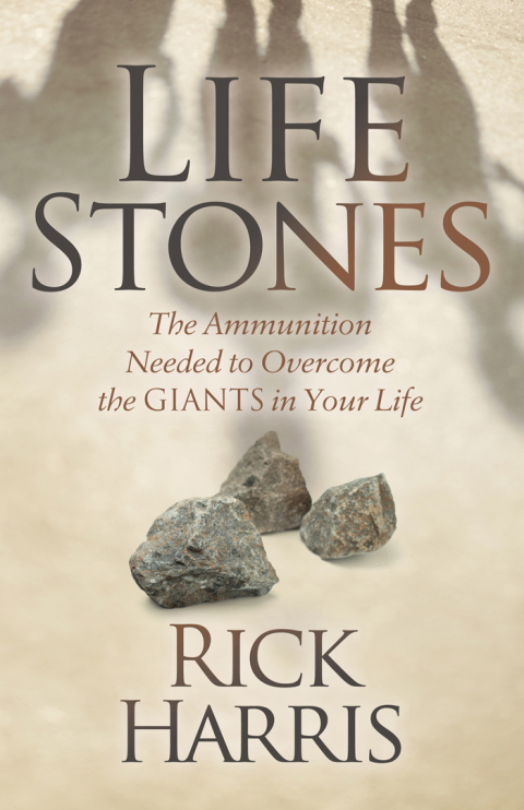 Cover image for book Life Stones