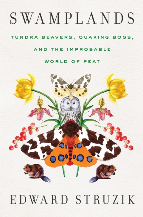Cover image for book Swamplands
