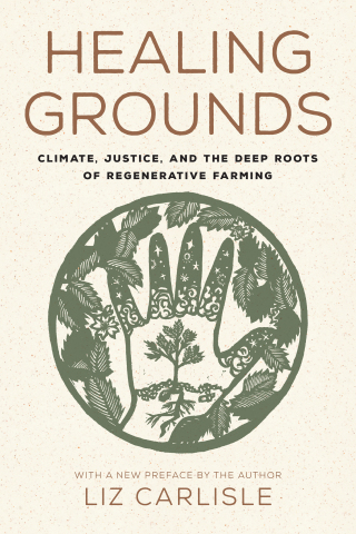 Healing Grounds