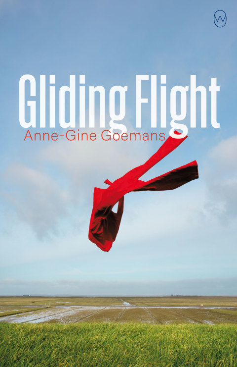 Cover image for book Gliding Flight