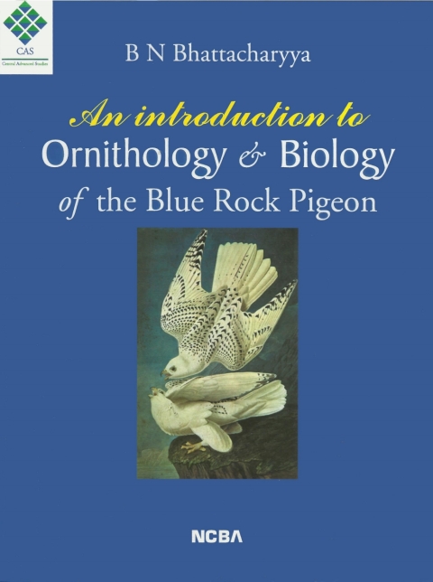 An Introduction to Ornithology \u0026 Biology of The Blue Rock Pigeon 