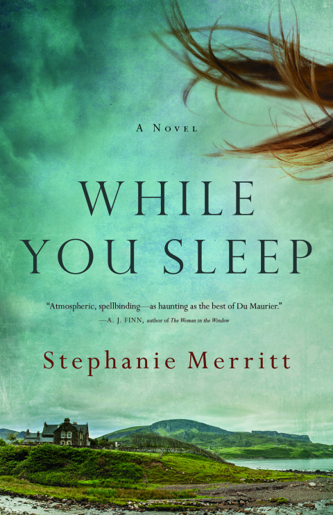 Cover image for book While You Sleep