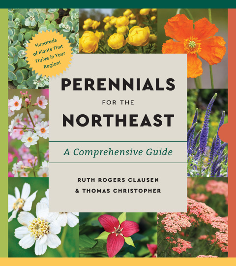 Cover image for book Perennials for the Northeast