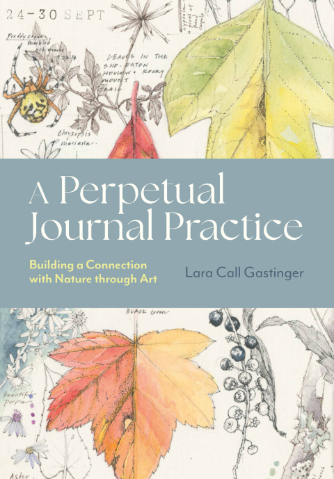 Cover image for book A Perpetual Journal Practice