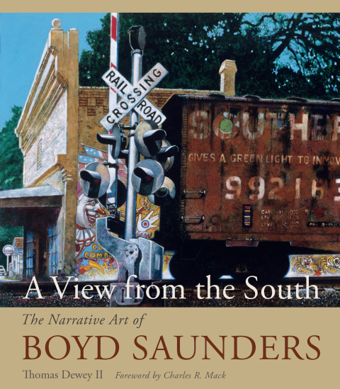 Cover image for book A View from the South