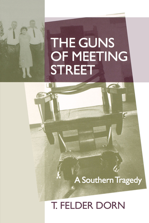 Cover image for book The Guns of Meeting Street