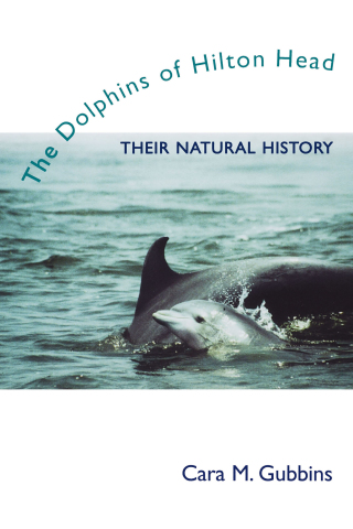 The Dolphins of Hilton Head