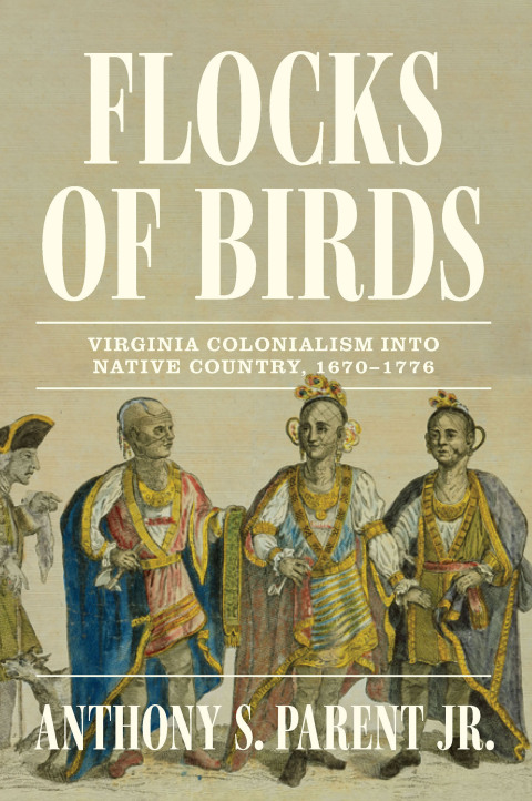 Cover image for book Flocks of Birds