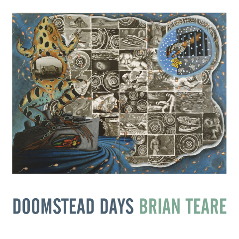 Cover image for book Doomstead Days