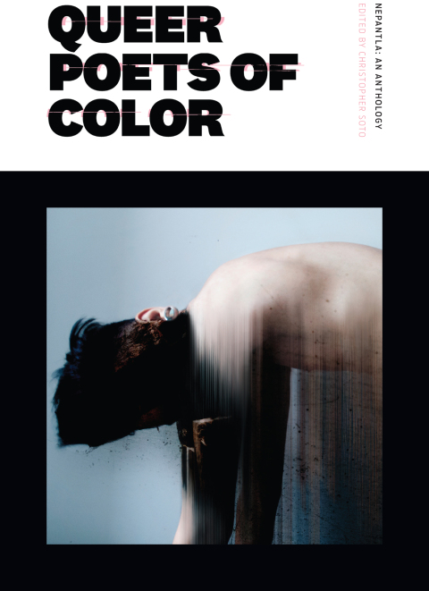 Cover image for book Nepantla