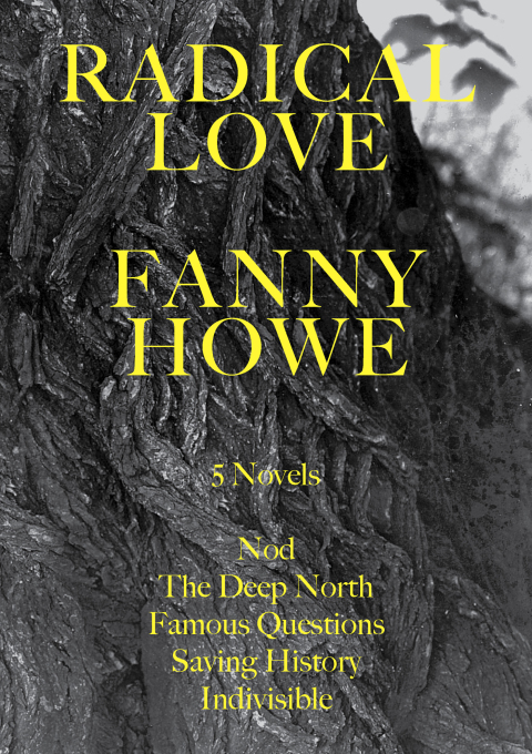 Cover image for book Radical Love