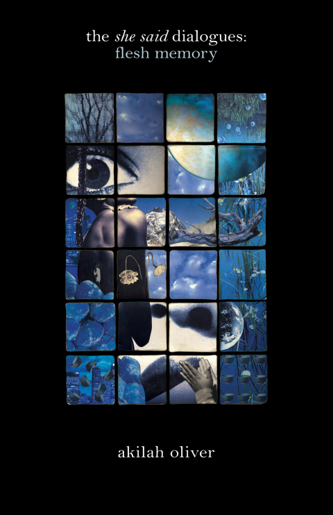 Cover image for book the she said dialogues