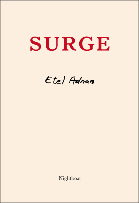 Cover image for book Surge
