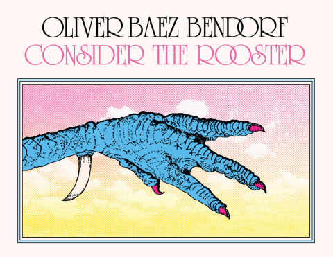 Cover image for book Consider the Rooster