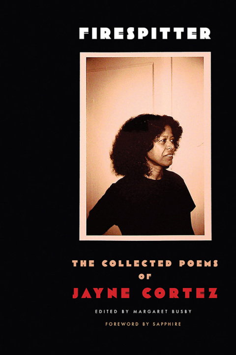 Cover image for book Firespitter