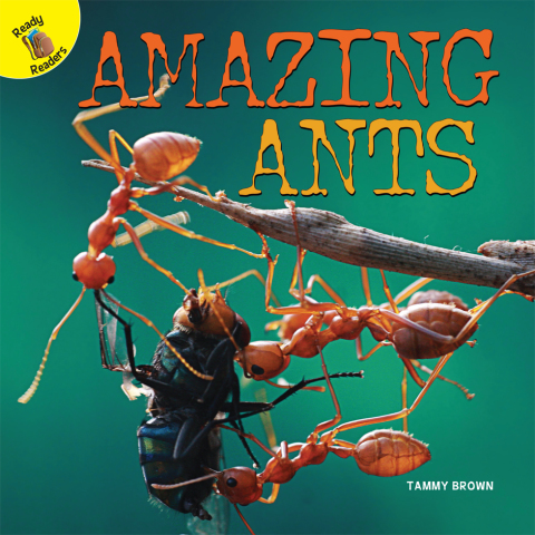 Cover image for book Amazing Ants