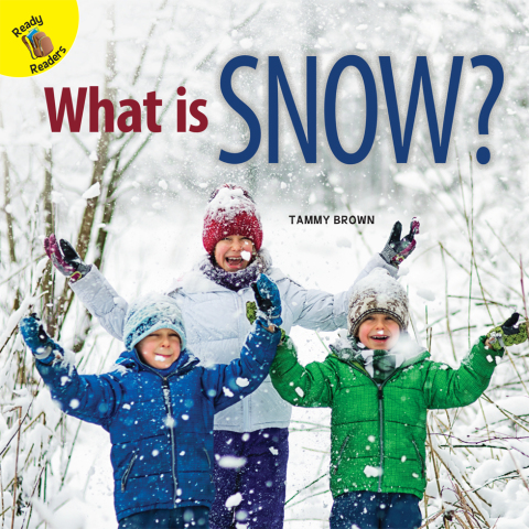 Cover image for book What is Snow?