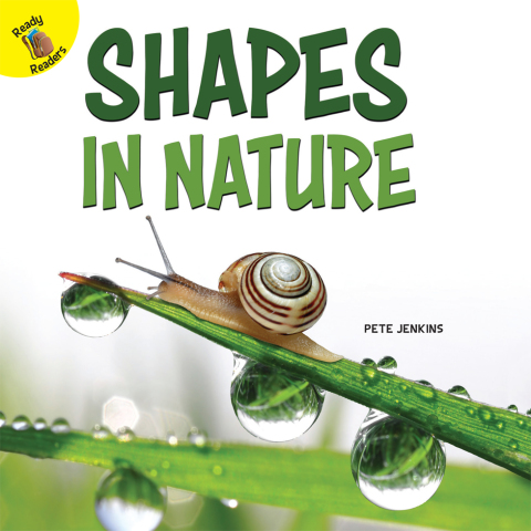 Cover image for book Shapes in Nature