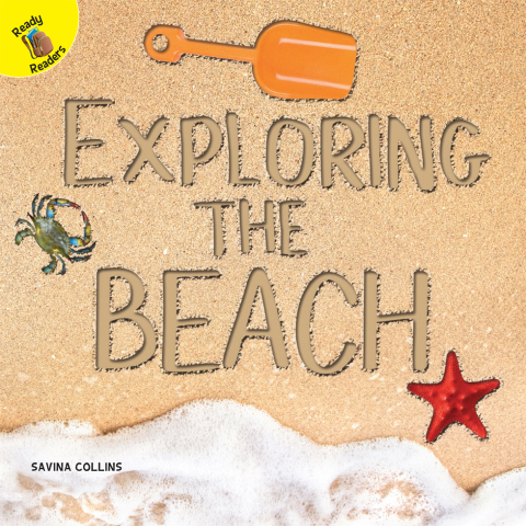 Cover image for book Exploring the Beach