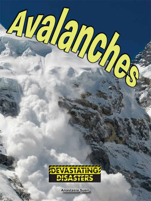 Cover image for book Avalanches