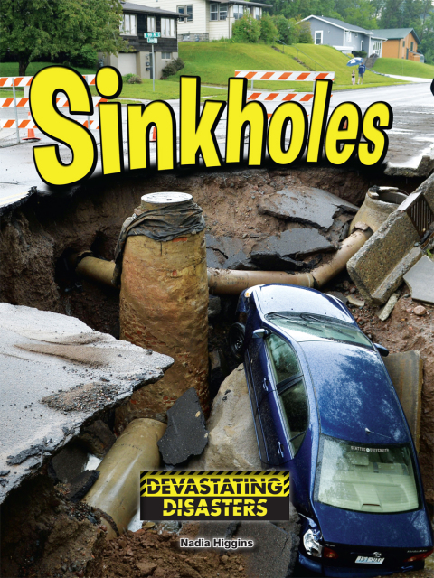 Cover image for book Sinkholes