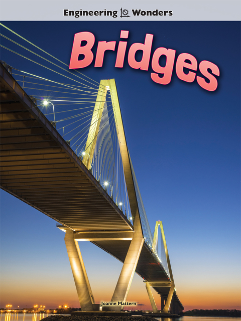 Cover image for book Bridges