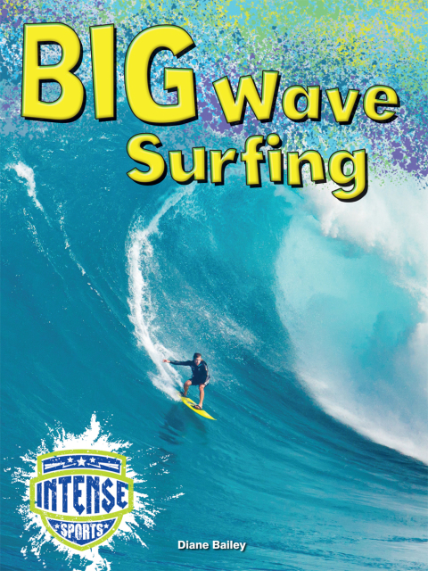 Cover image for book Big Wave Surfing