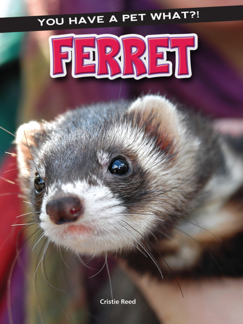 Cover image for book Ferret