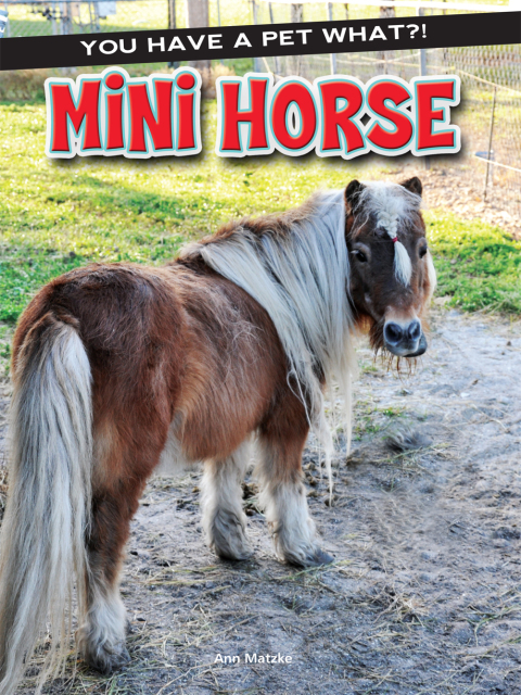 Cover image for book Mini Horse