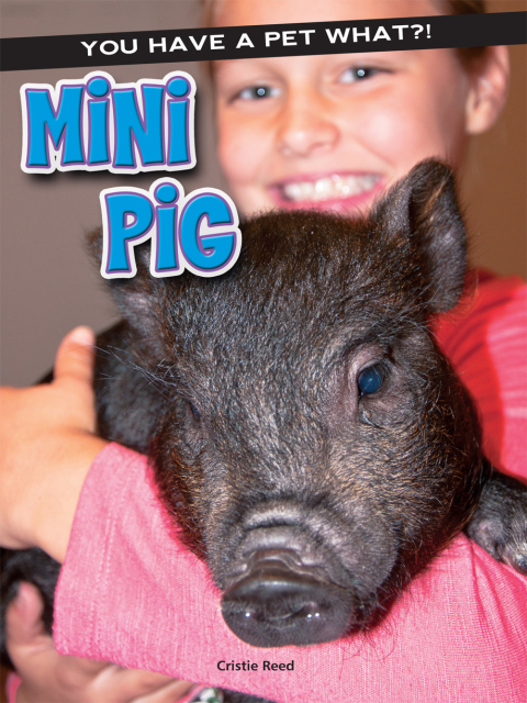 Cover image for book Mini Pig