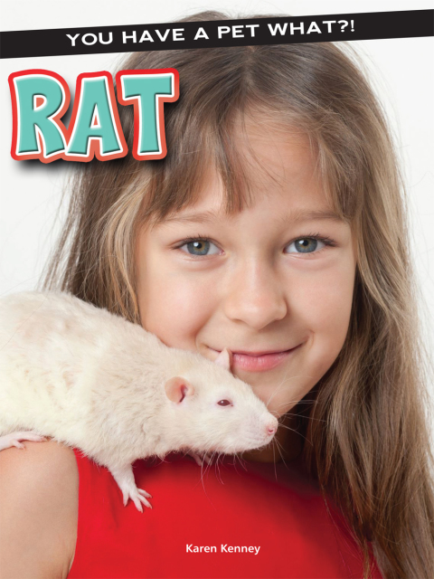Cover image for book Rat