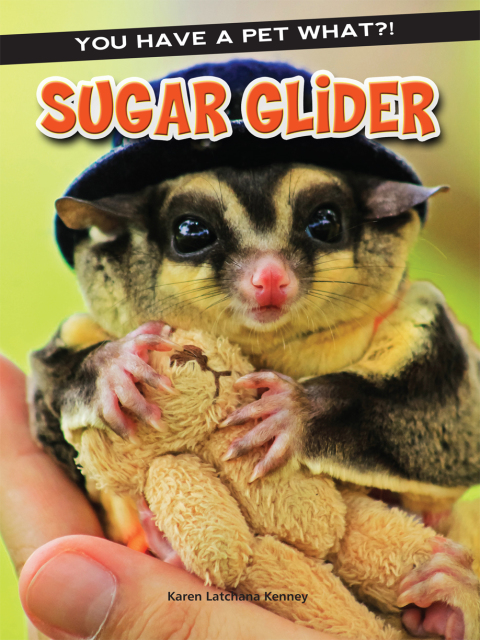 Cover image for book Sugar Glider